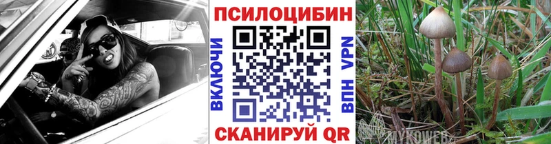 кракен зеркало  наркота  Северо-Курильск  Галлюциногенные грибы прущие грибы 