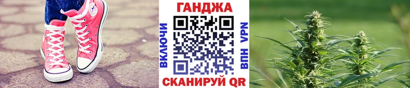 Конопля гибрид Северо-Курильск